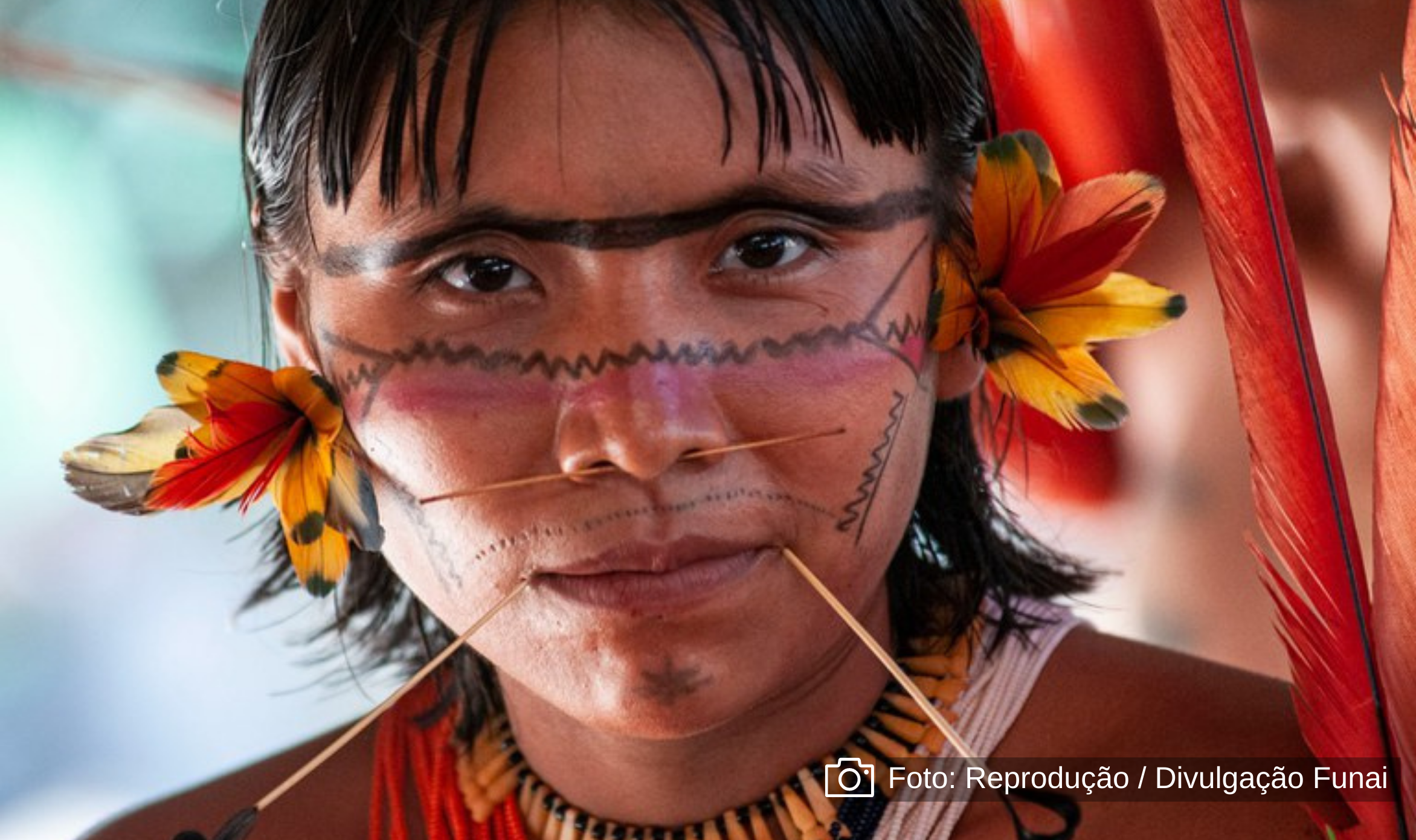 Afinal, quem são os Yanomami, que ganharam as manchetes nos últimos dias?