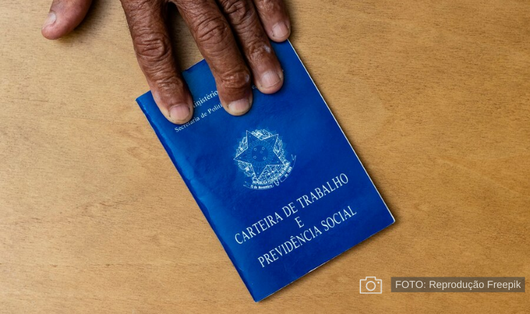 Estado do Nordeste tem mais beneficiários do Bolsa Família que empregados com carteira assinada em 2023; saiba qual