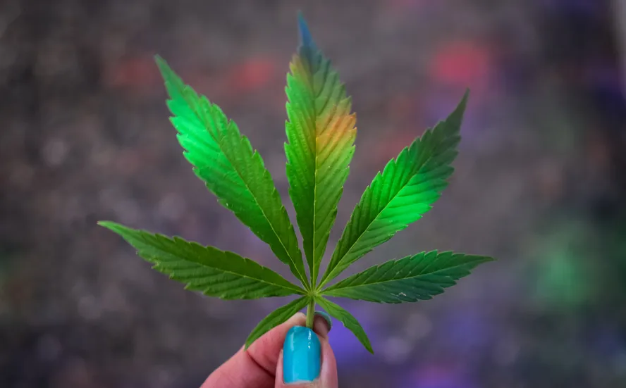 STF tem placar de 5 a 3 para descriminalizar porte da maconha para uso pessoal; Toffoli pede vista e adia decisão