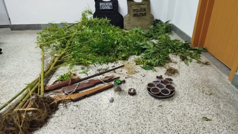 Operação cumpre mandado de prisão em Mutuípe, plantação de maconha é erradicada