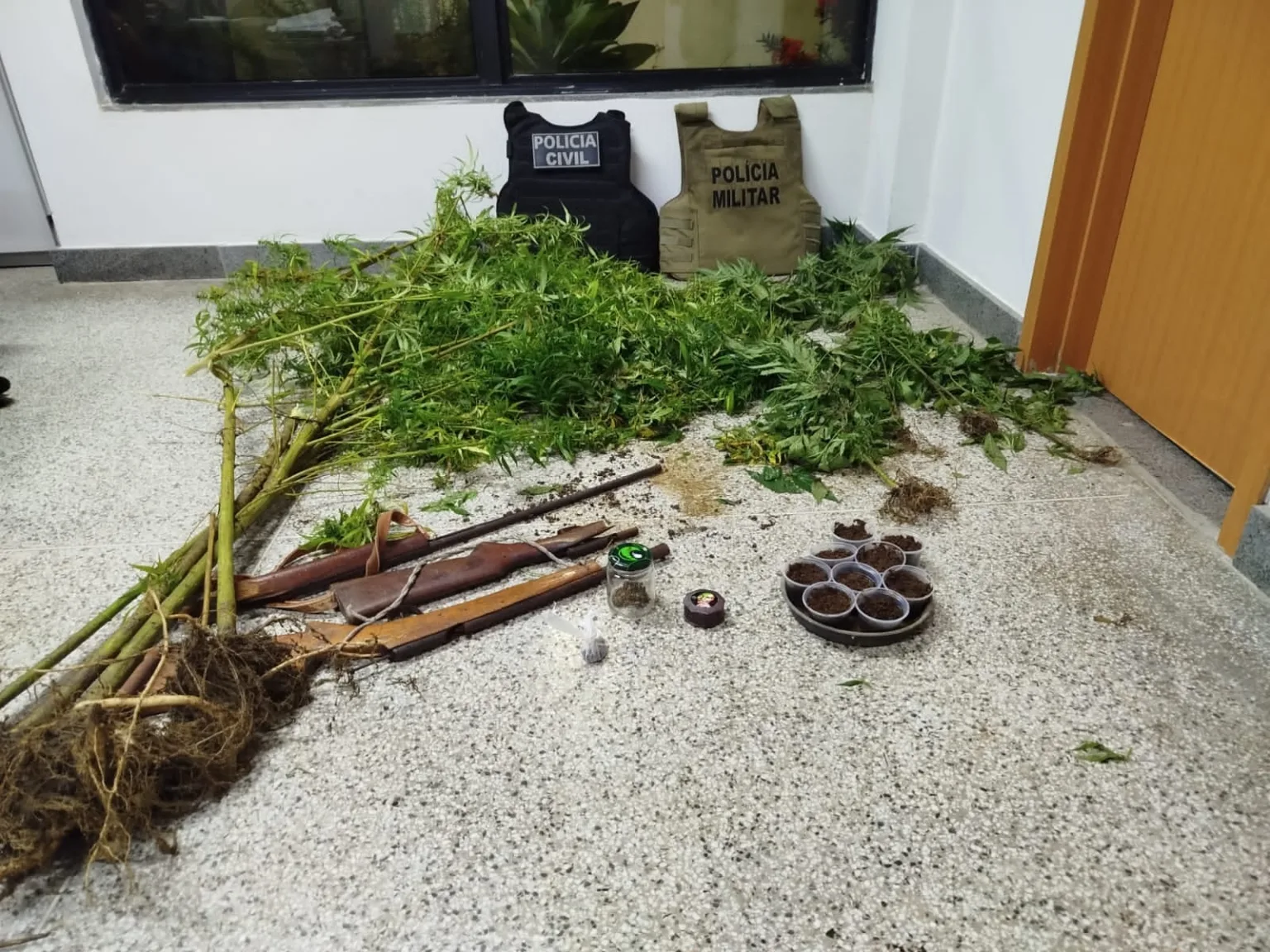 Operação cumpre mandado de prisão em Mutuípe, plantação de maconha é erradicada