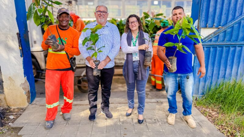 Prefeitura de Amargosa entrega 6 mil mudas de cacau para produtores rurais