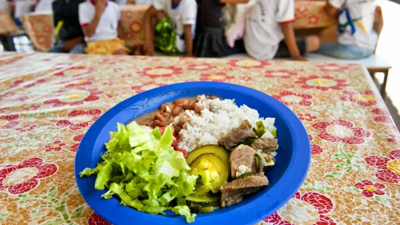 Agricultura familiar terá maior participação no Programa Nacional de Alimentação Escolar