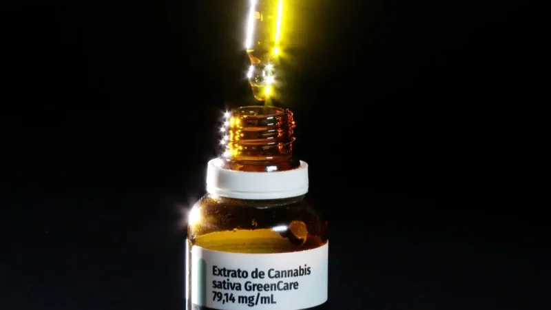 Anvisa aprova cultivo de cannabis por empresas e amplia acesso
