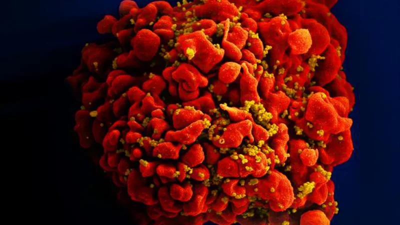 HIV: dois novos casos de cura são anunciados; total chega a 13