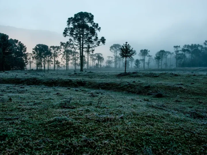 Mais frio e chuva acima da média: saiba como será o clima no Brasil em julho
