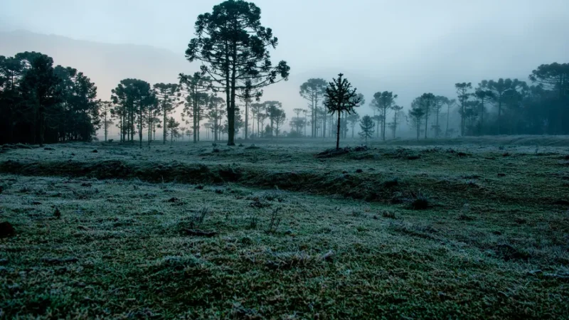 Mais frio e chuva acima da média: saiba como será o clima no Brasil em julho