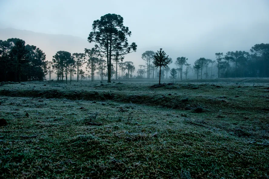 Mais frio e chuva acima da média: saiba como será o clima no Brasil em julho