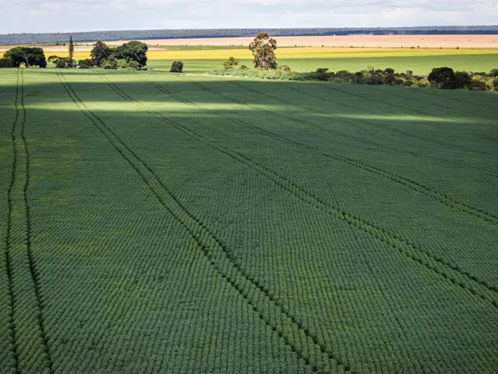 Senado aprova programa com incentivos para ampliar produção de fertilizantes no Brasil