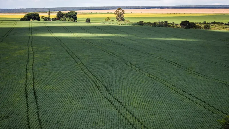 Senado aprova programa com incentivos para ampliar produção de fertilizantes no Brasil