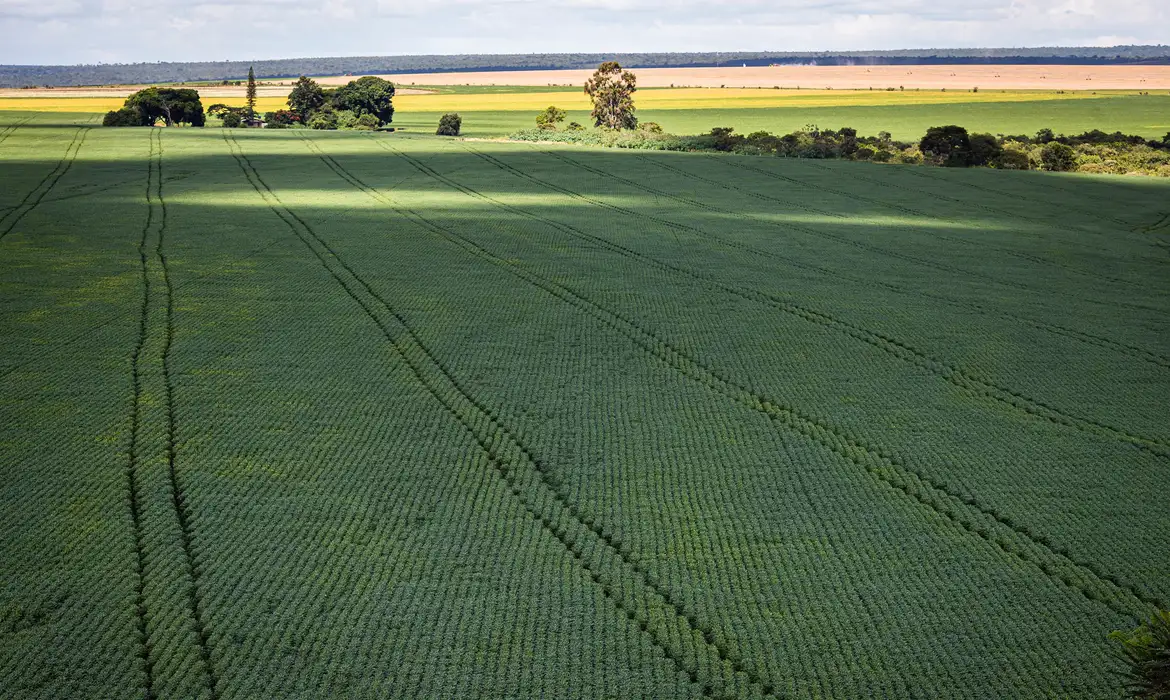 Senado aprova programa com incentivos para ampliar produção de fertilizantes no Brasil