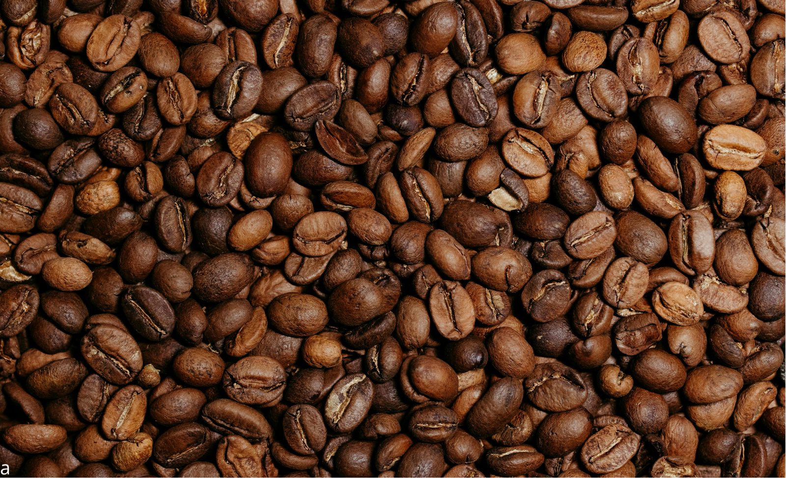 Café pode ficar mais caro com risco de “Super El Niño”, alerta especialista